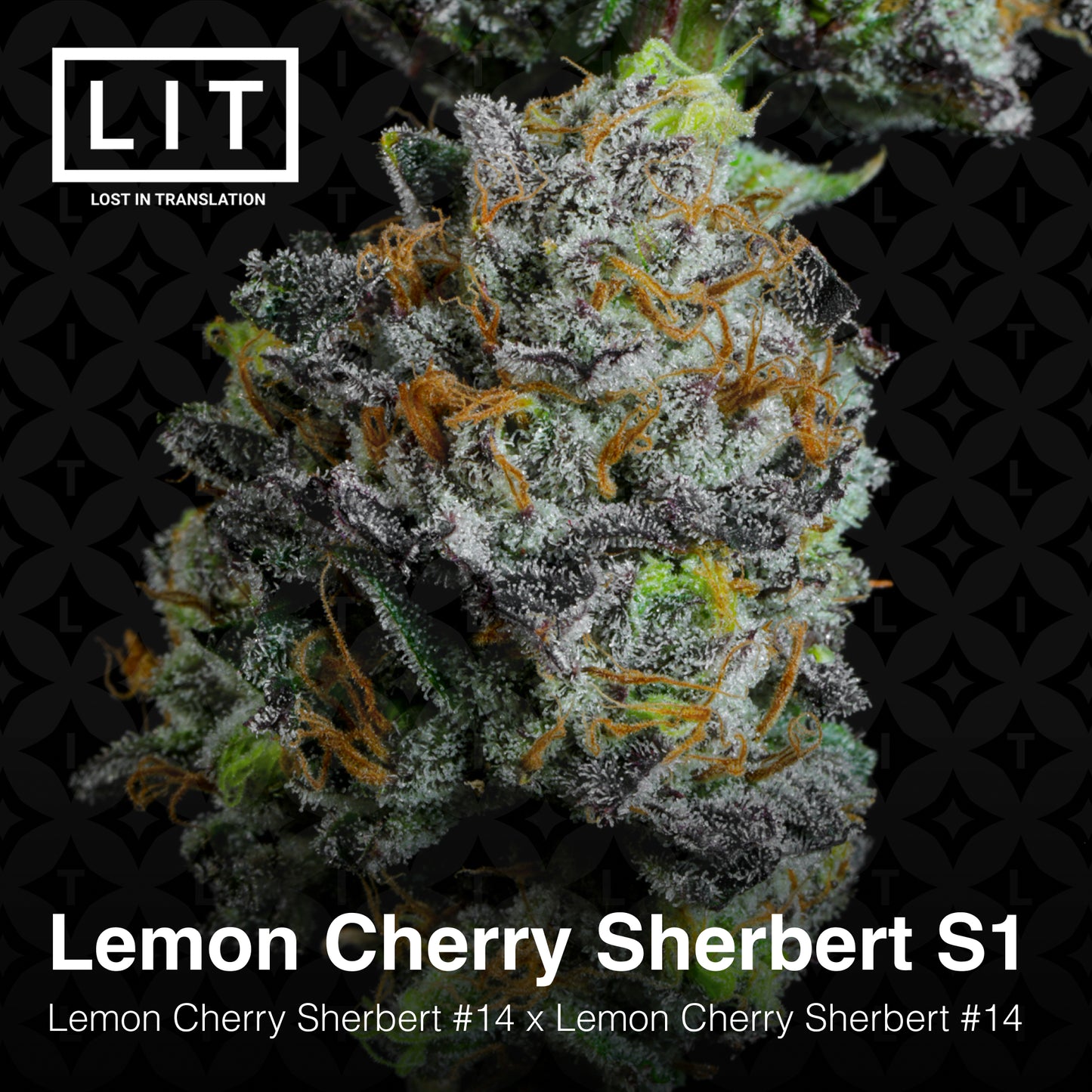 Lit Farms Photo Fem 6 pack (Lemon Cherry Cherry Sherb Drop)