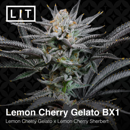 Lit Farms Photo Fem 6 pack (Lemon Cherry Cherry Sherb Drop)