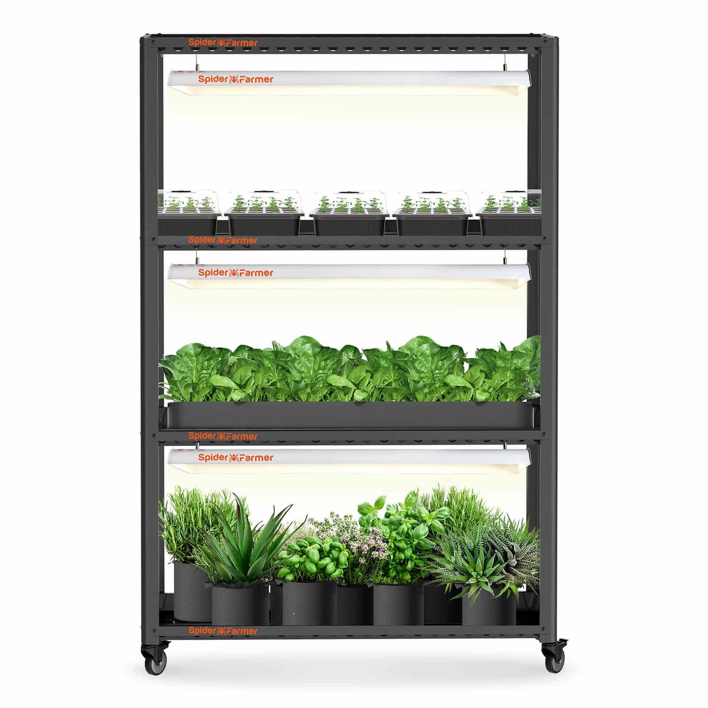 Spider Farmer® SF600 growshelves Indoor led grow light and Metal Plant Stand with Plant Trays